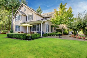 Spring Maintenance Tips For Your Roof